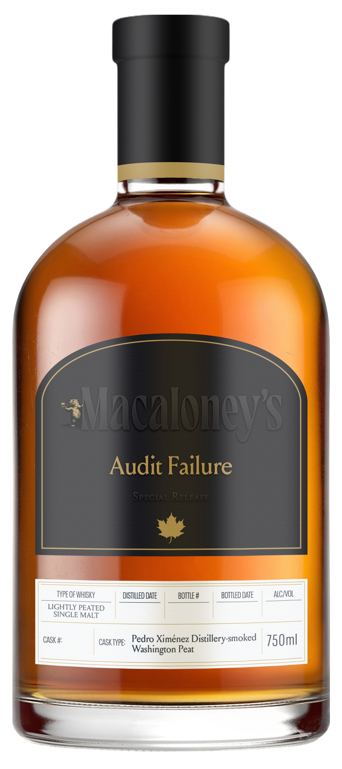 Audit Failure