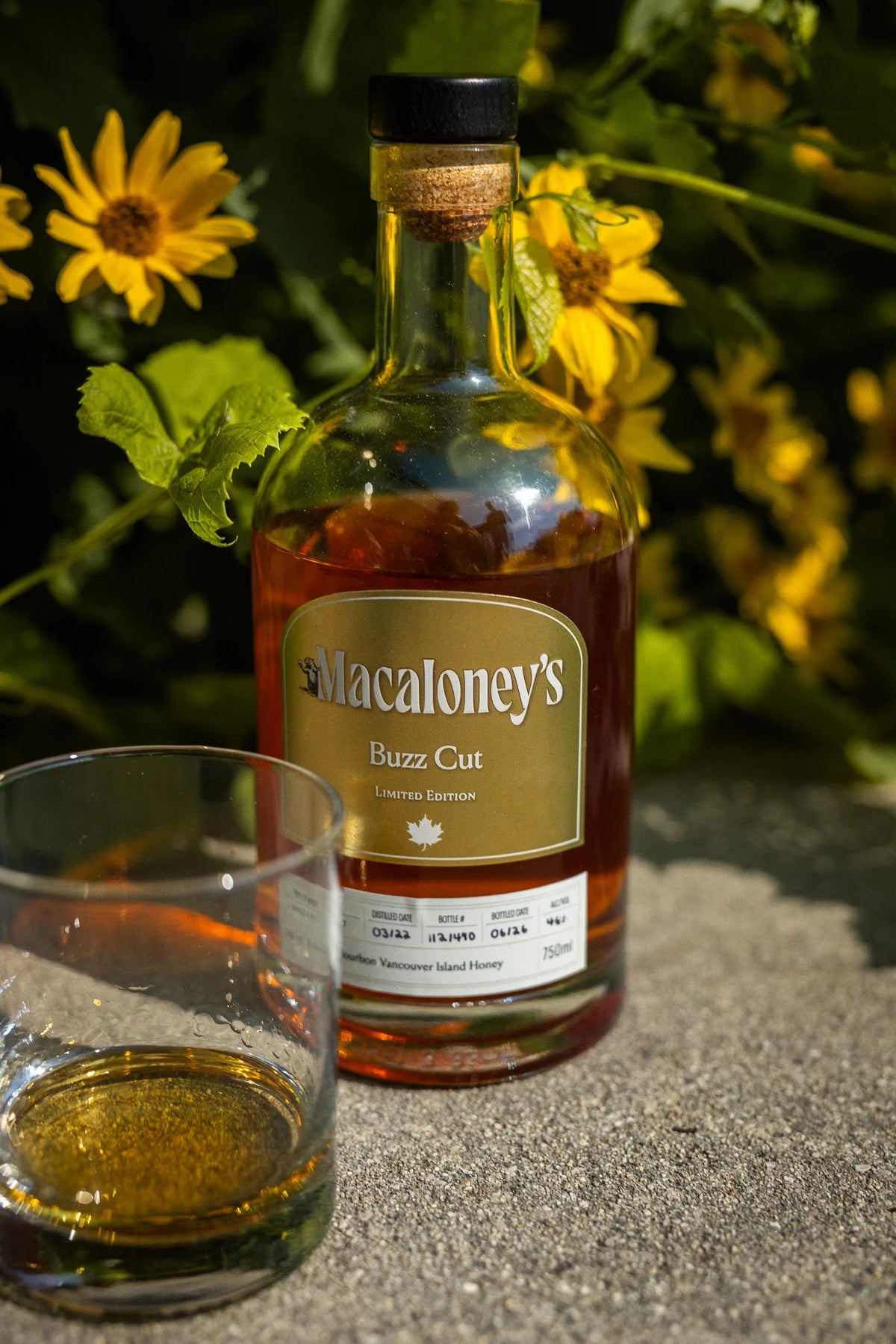 Macaloney's Buzz Cut honey cask single malt whisky with a poured rocks glass among summer flowers